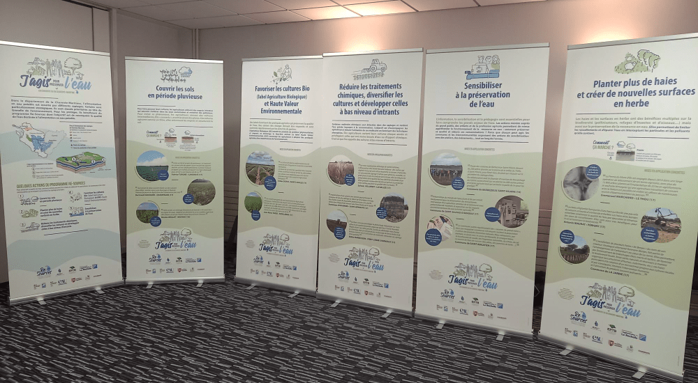 Enlarge the image link