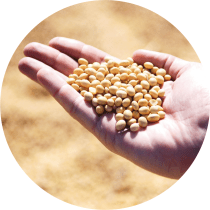 Enlarge the image link