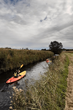 Enlarge the image link