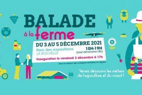 Enlarge the image link