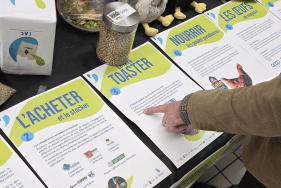 Enlarge the image link