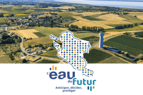 Enlarge the image link