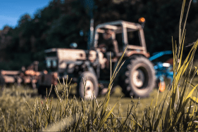 Enlarge the image link