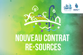 Enlarge the image link