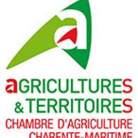 Enlarge the image link