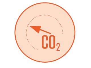 Enlarge the image link