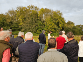 Enlarge the image link