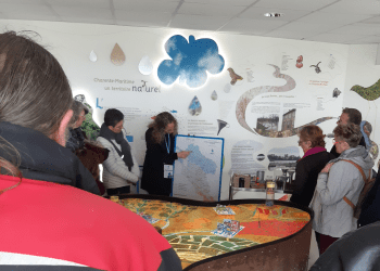 Enlarge the image link