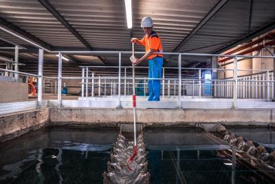 Enlarge the image link