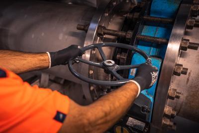 Enlarge the image link