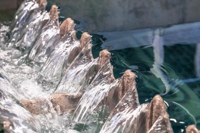 Enlarge the image link