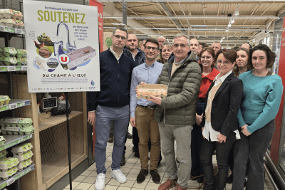 Enlarge the image link