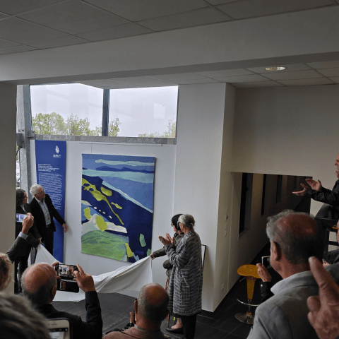 Enlarge the image link