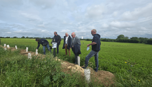 Enlarge the image link