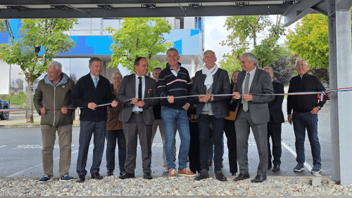 Enlarge the image link