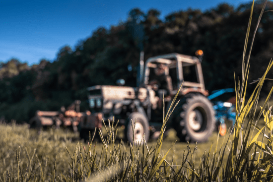 Enlarge the image link