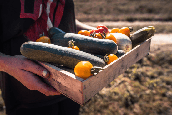 Enlarge the image link